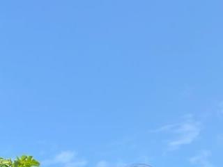dominantprinces69