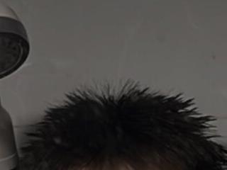 Jackie damp