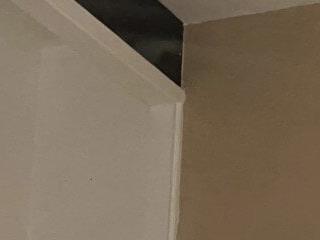jennytwinkle69