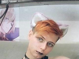 Littlepinkcat