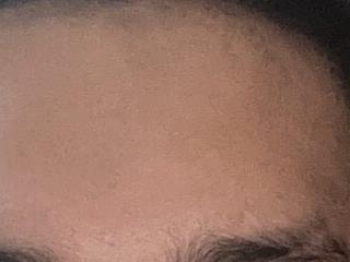 Tiarrafoxs