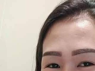 transmegan95